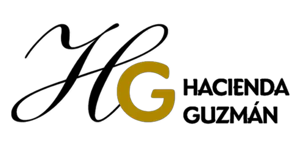 HG logo